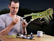 Fly Tying