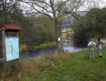 Upper Vltava near Lenora
