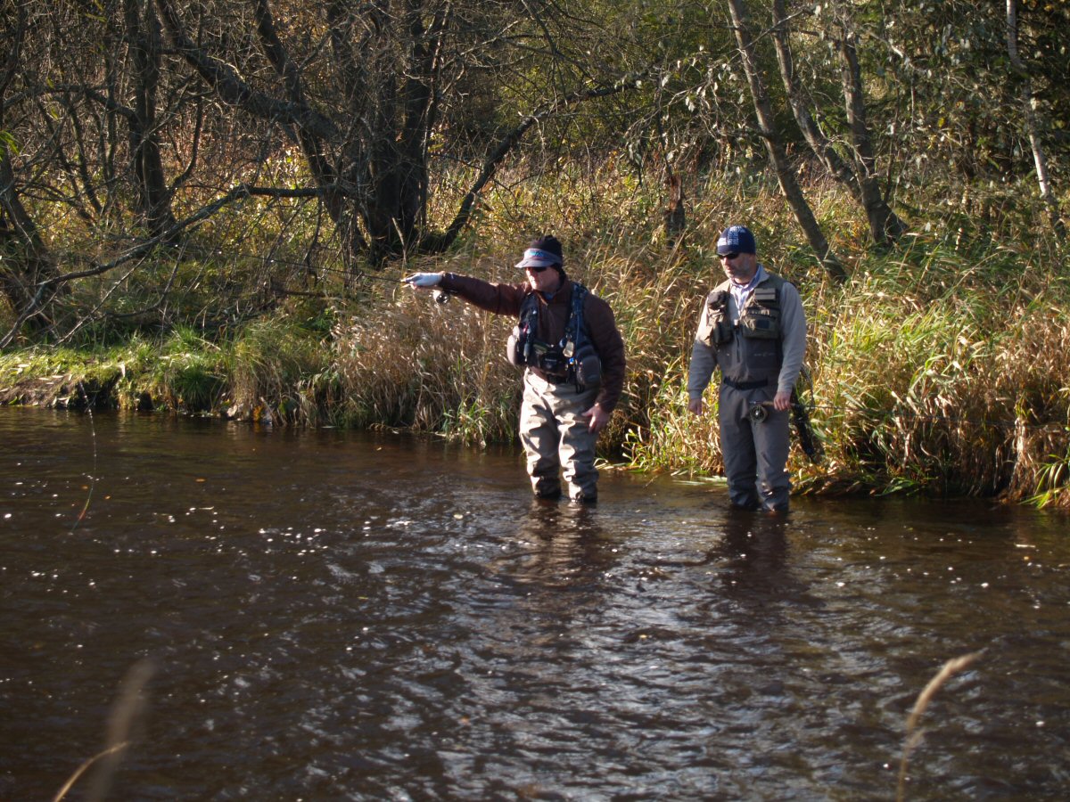 Perfect Czech Nymph technique