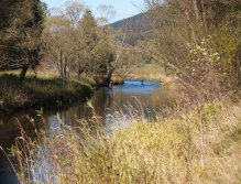 Other fellow fly fishermen