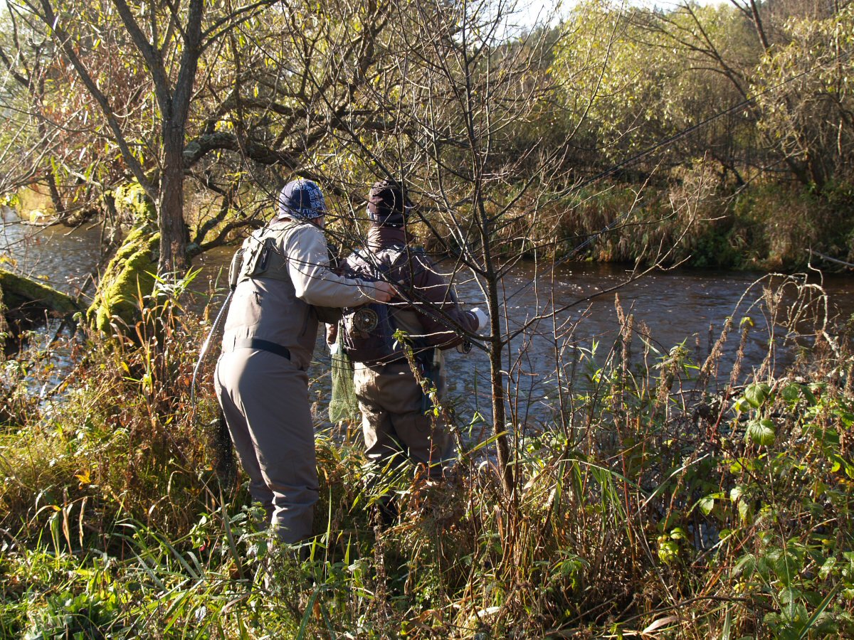 Getting to the river