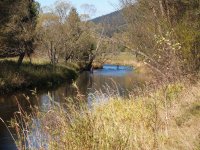 Autumn in Upper Vltava River