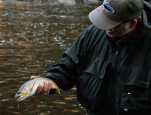 Another great fish. This video is loaded with actual fish. You will clearly believe the fish location claims as a location is illustrated with the catching of a fish