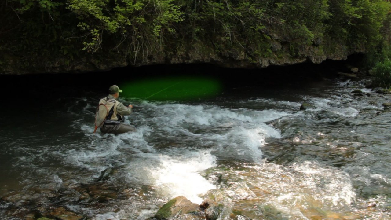 Wading techniques and water approach are reviewed