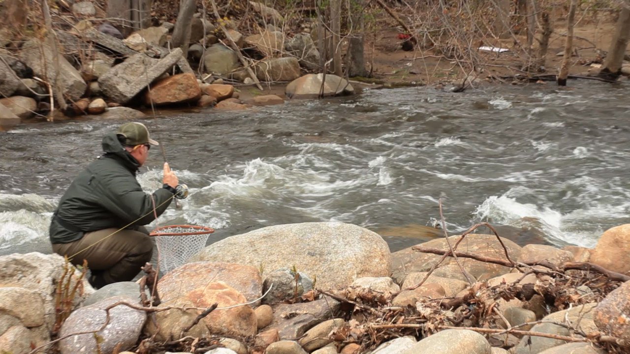 Aaron also reviews stealth and stream approach