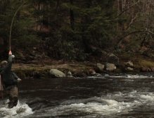 Aaron hooks another fish in the pocket water