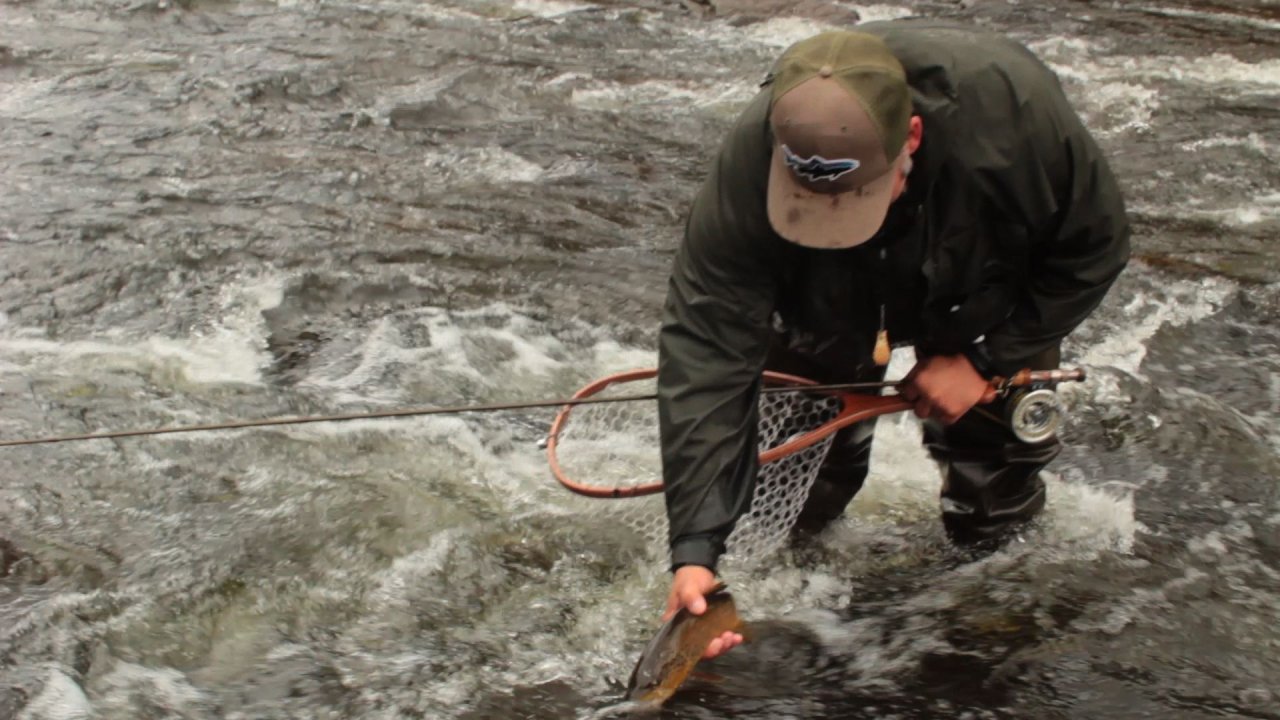 Aaron releasing a beautiful wild brown trout