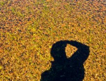 Here I’m just a shadow of myself