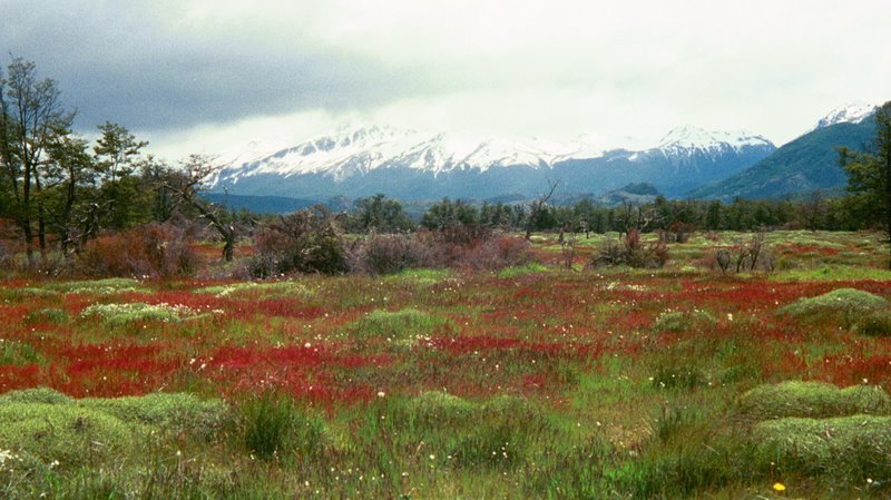 Chile- nice anytime on or off the water