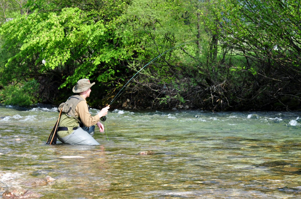 Fly Fishing, Radovna River, Slovenia