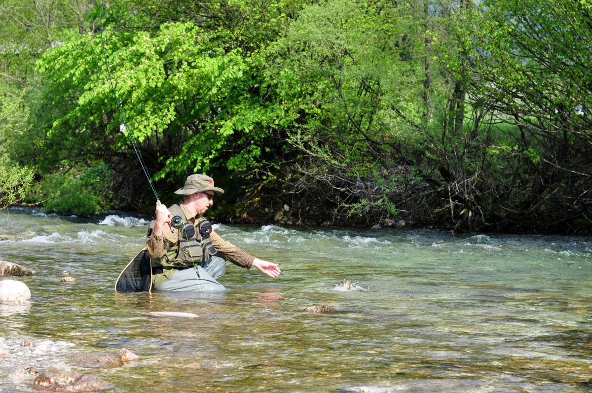 Fly Fishing, Radovna River, Slovenia