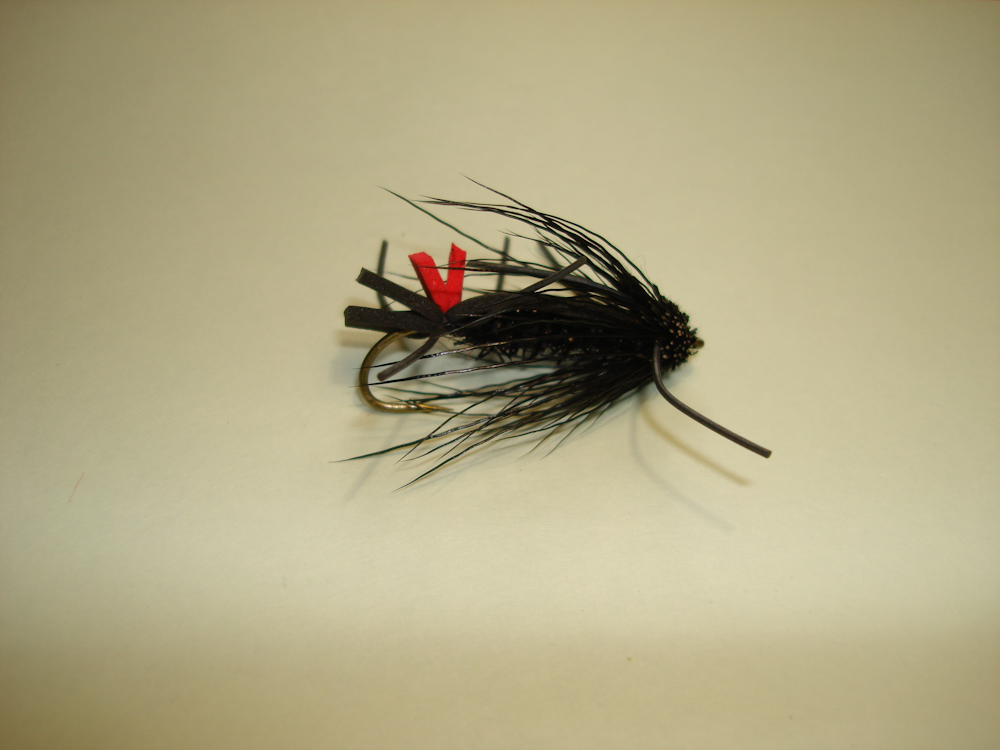 Fishing Pir�s on dry flies