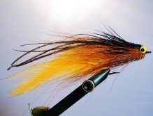 The classic model for Golden Dorados