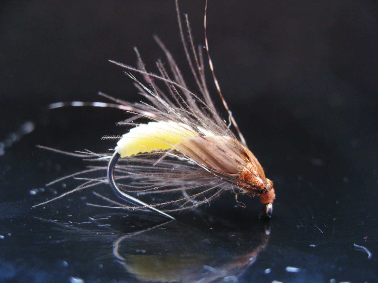 Pupa Caddis VI.