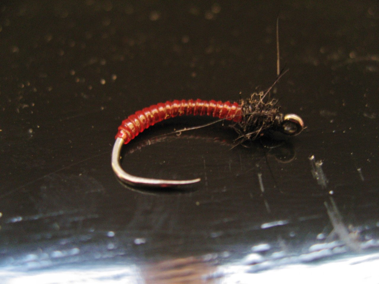 Bloodworm