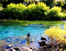 Bushes pool. Chimehuin river