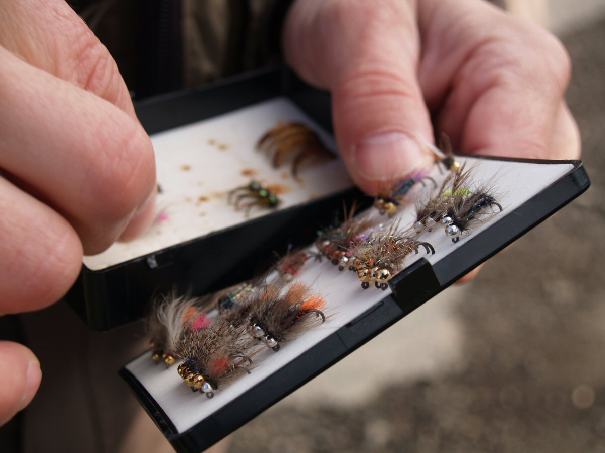 Selecting the right fly