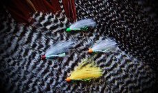 Gentle Sparkler Step by Step picture gallery