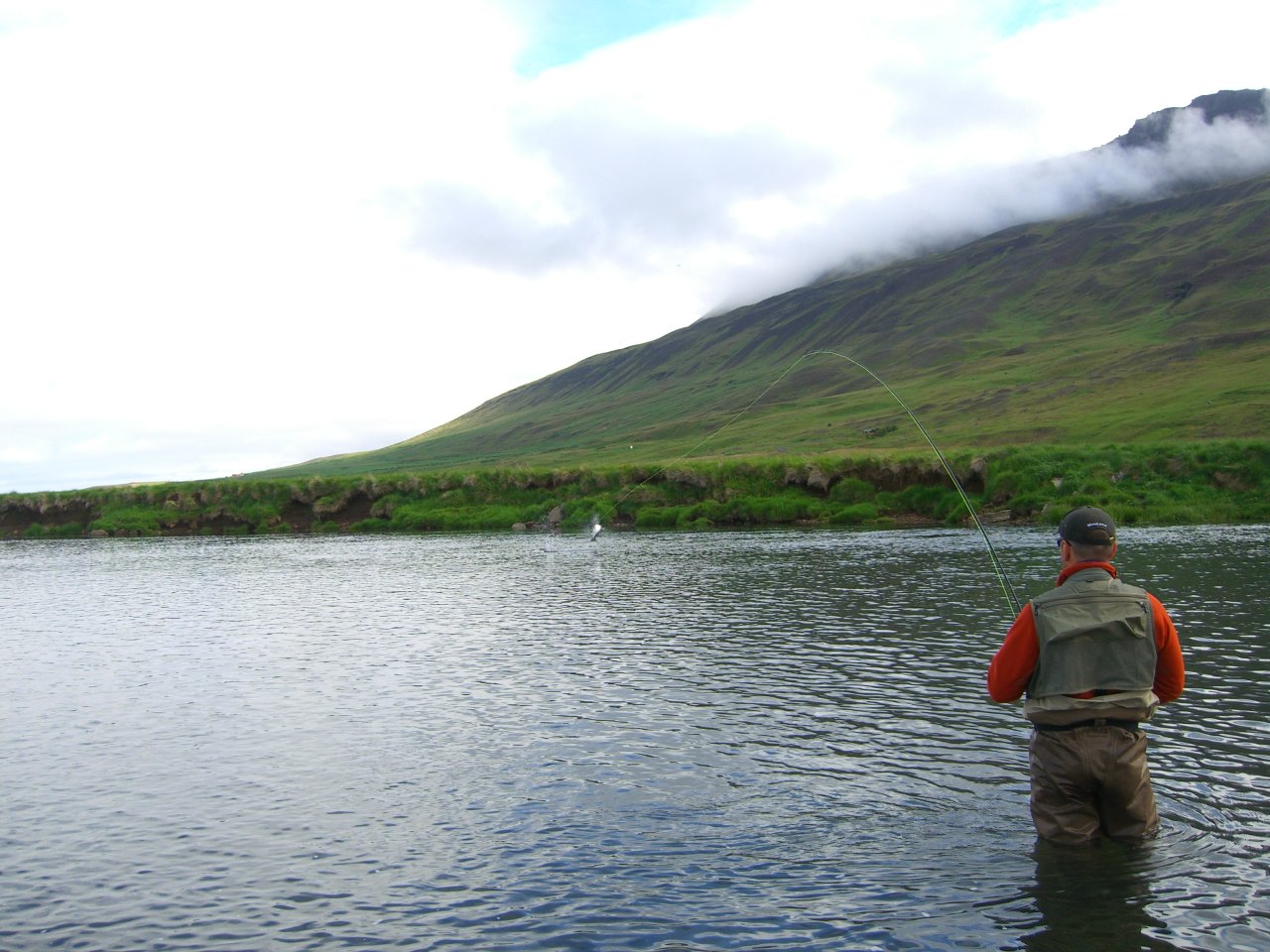 Man those Atlantic salmon love to jump!