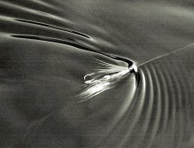 Here we see the action of the hitch tube in the water. It‘s that riffle on the water that makes the salmon attack