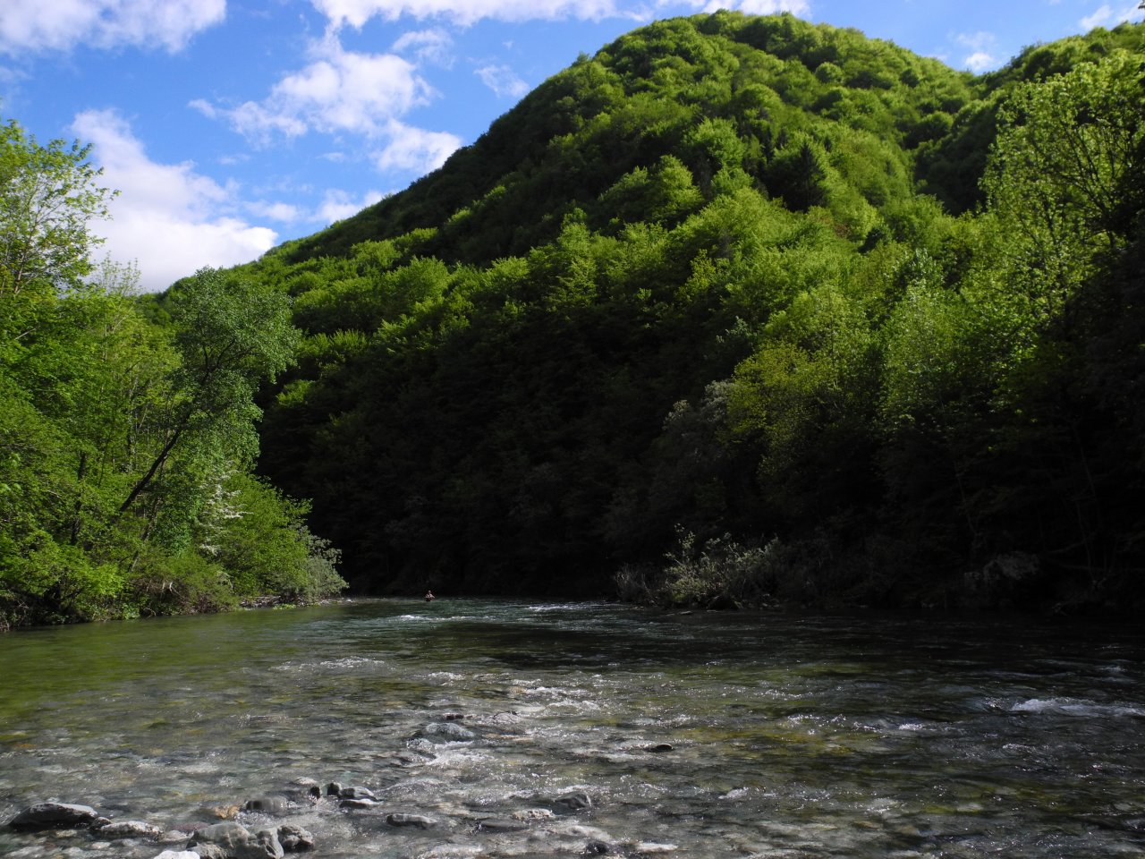 Sunny day on Idrijca