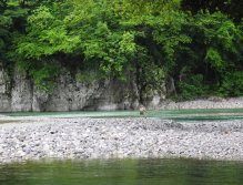 Confluence of Idrijca and Bača