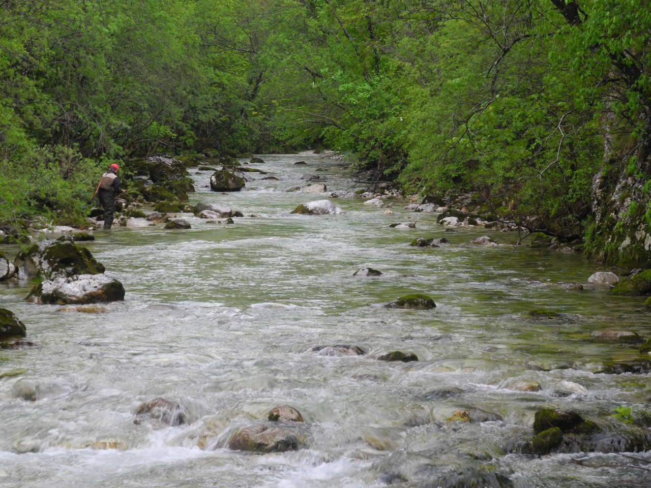 Nymph fishing on Trebu��ica