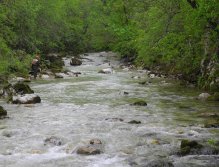 Nymph fishing on Trebuščica