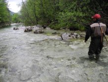 Streamer fishing on Trebuščica