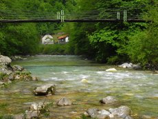 Spring Fly Fishing in Slovenia