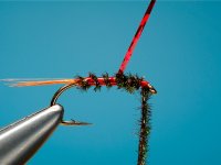 Fly tying Diawl Bach