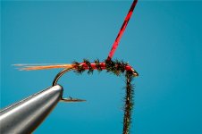 Fly tying Diawl Bach