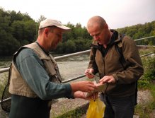 5:30 am licence check