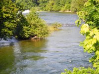 Gmundner Traun June 2012