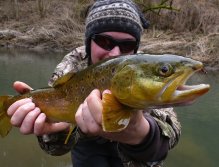 At the beginning of the season in a small creek