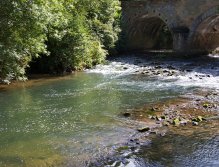 One of my best rivers in the North East of France