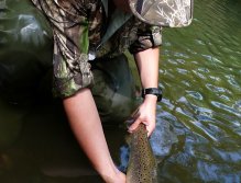 One different picture