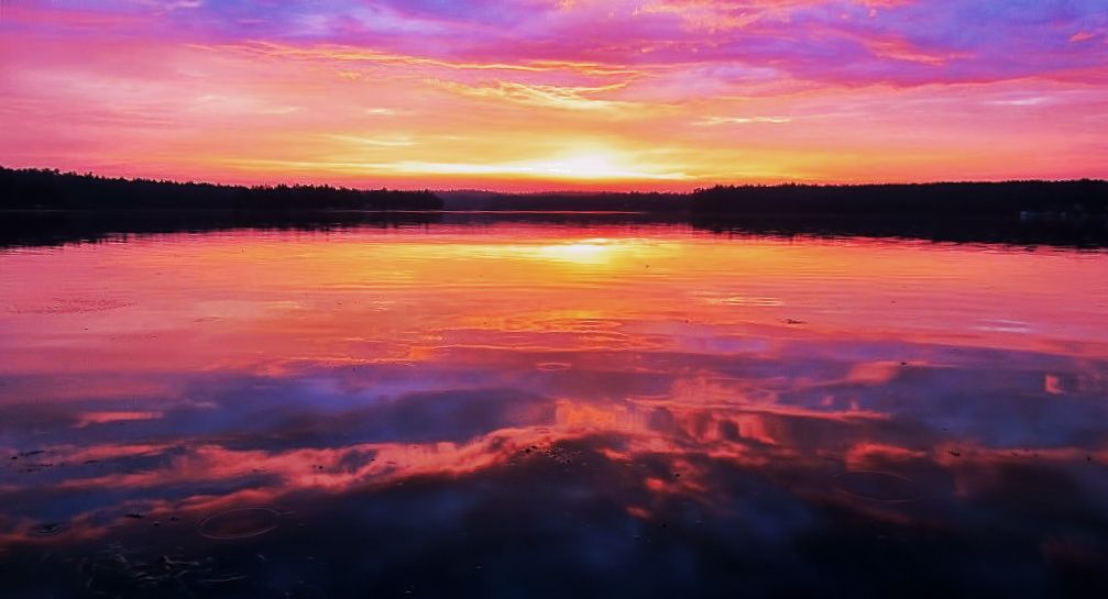 Early Bird Gets the Worm