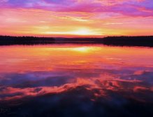 Early Bird Gets the Worm