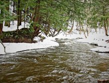 The Hidden Treasures of the U.P.