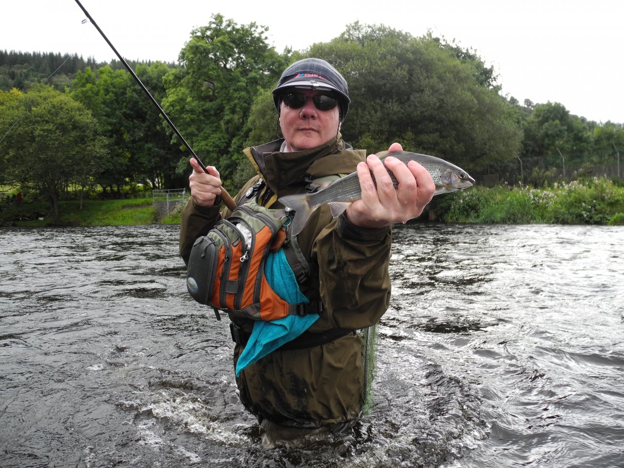 Grayling from the Dee