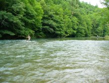 Landing a zebra trout