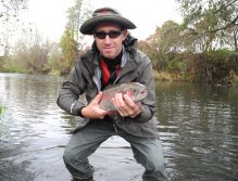 Another rainbow trout