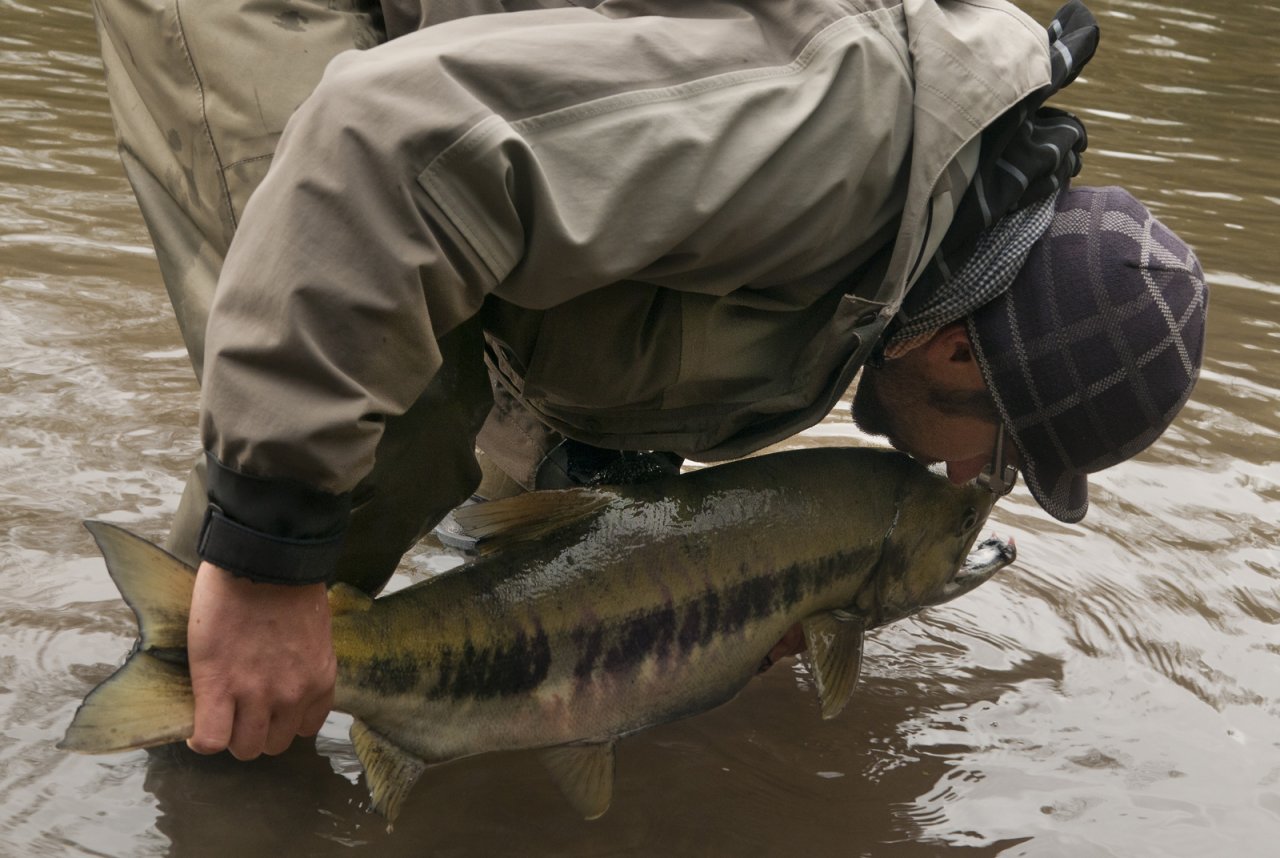 Lots of love for the beasts!!!