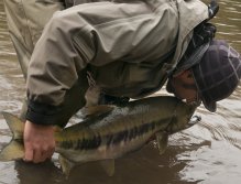 Lots of love for the beasts!!!