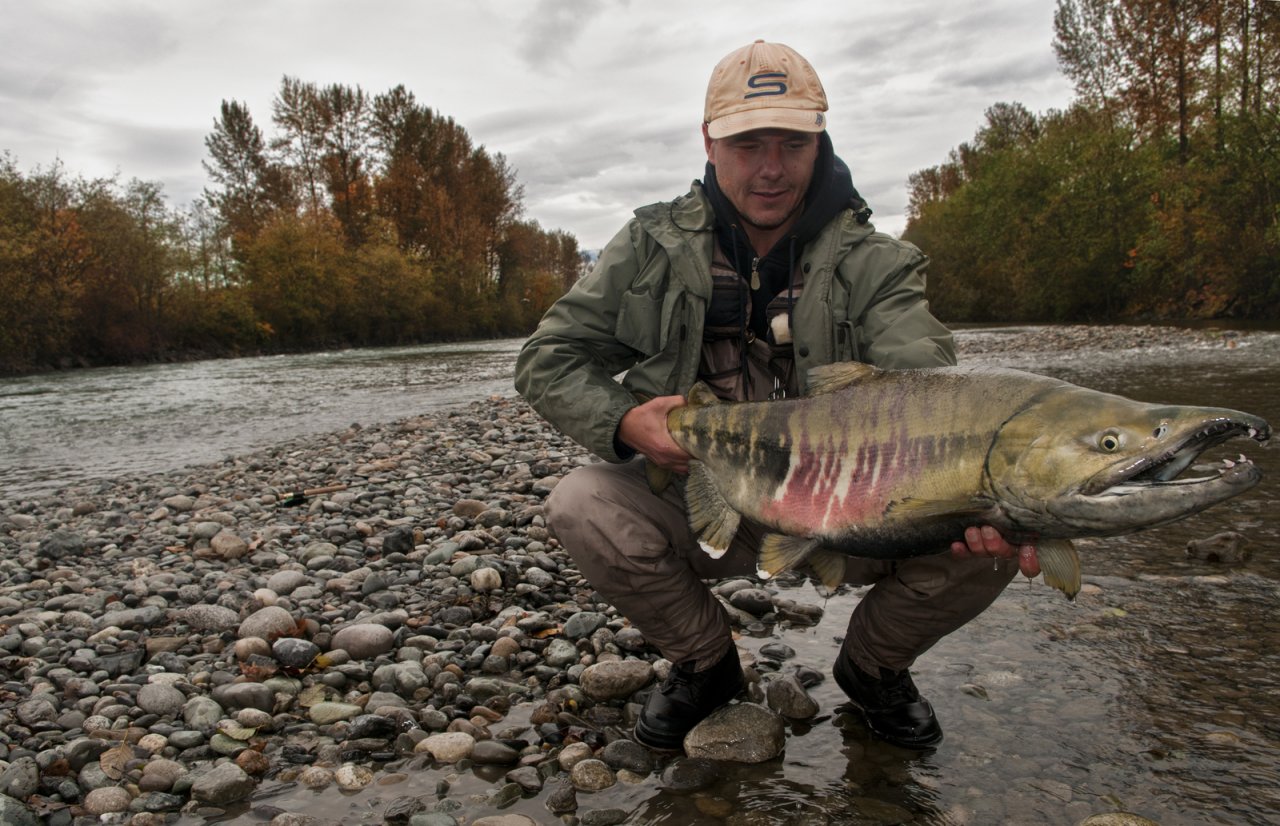 Another Monster dog...