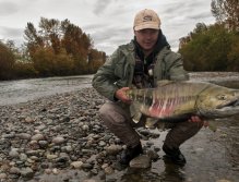 Another Monster dog...