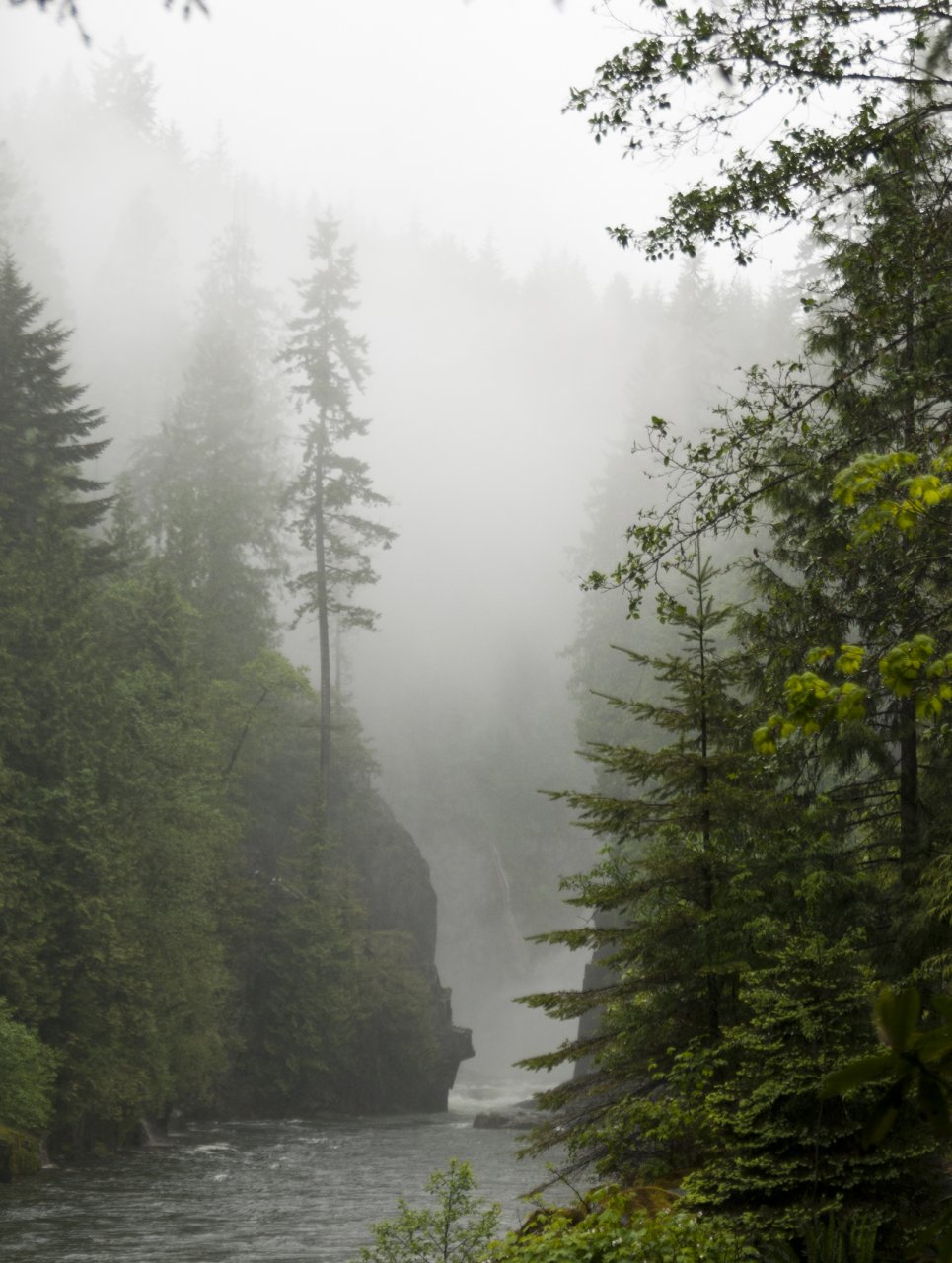 In the middle of the city??