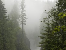 In the middle of the city??