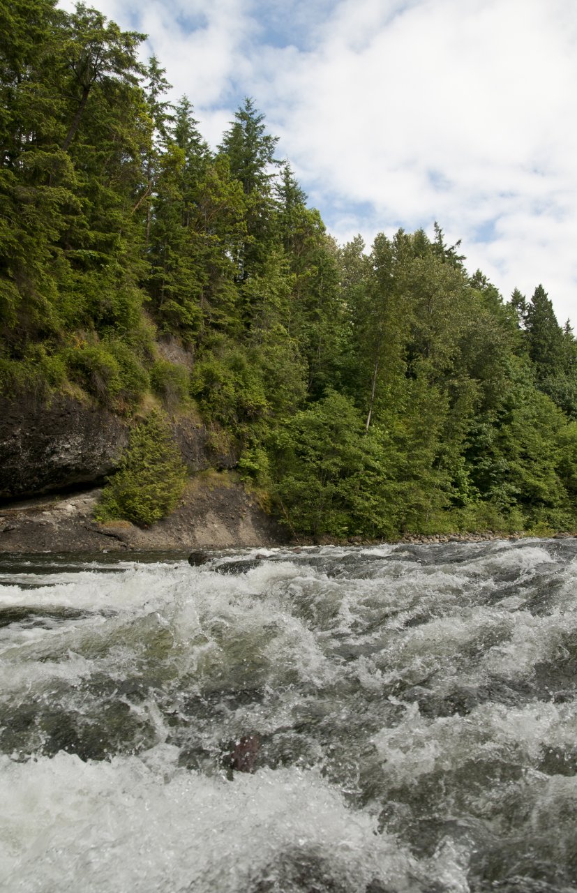 In the middle of the city??